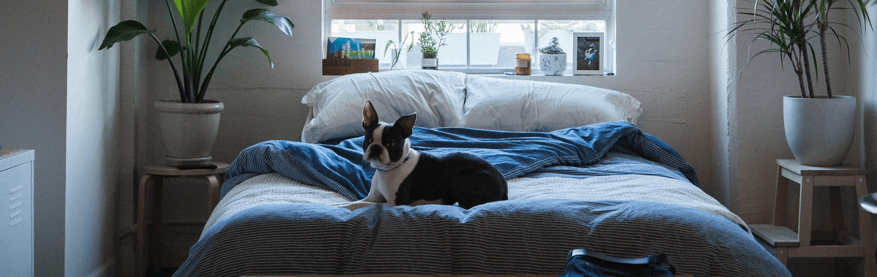 Wink & Nod is an
				innovative company which creates premium sleeping products designed for the
				modern Indian consumer.